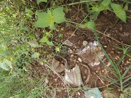 Natural soil and weeds. weeds creeping on the ground. Soil texture on weeds. photo