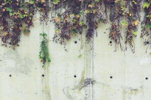 pared de piedra abstracta textura realista ornamento edificio roca en la naturaleza. foto