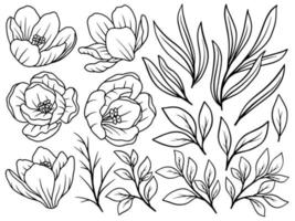 Flower line art hand drawn collection vector