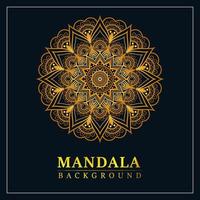 luxury mandala background design vector