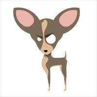 perro chihuahua con una mirada enojada. ilustración vectorial vector