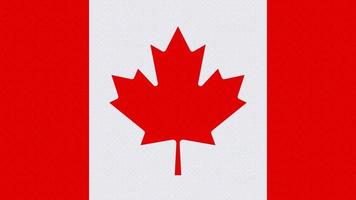 The Canadian national flag with circle wave pattern background. vector