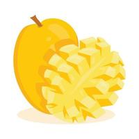 beautifully whole and sliced mango, tropical exotic fruit vector