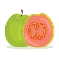 Whole guava and half of it side by side in flat style vector