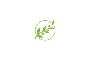 Simple Minimalist Olive Branch for Beauty and Healthy Oil Logo Design Vector