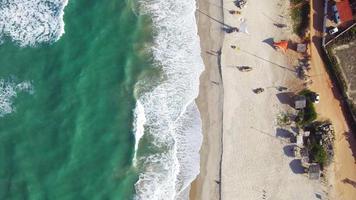 Flygfoto av människor på stranden video