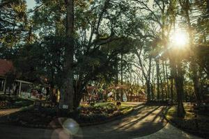 Nova Petropolis, Brazil - July 20, 2019. Pathway passing through wooded landscape with sunlight at the Immigrant Village Park of Nova Petropolis. A lovely rural town founded by German immigrants. photo