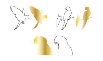 set of parrots on white vector