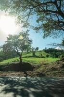 Paved country road beside leafy tree silhouette with sunlight on a slope covered by green meadow near Pardinho. A small rural village in the countryside of Sao Paulo State. photo