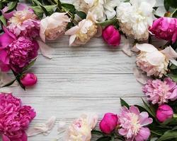 Background with pink peonies photo