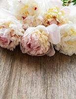 Background with pink peonies photo