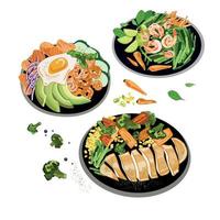 Set of plates with different Healthy food, Chicken fele with broccoli, Salmon fele with avocado and egg. Shrimps with asparagus, carrots and lime. Vector illustration isolated on white background.