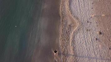 ung man springer på stranden ensam. ovanifrån, flygvy video