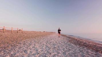 jovem corredor treinando no lindo pôr do sol na praia video