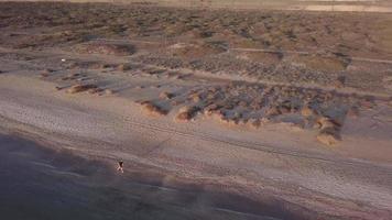 man loopt op het strand. orbitaal schot met drone video