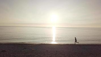 Young athlete runner man with fit strong body training on beautiful sunset at beach video