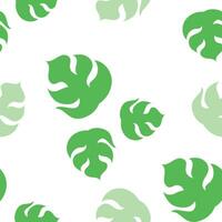 monstera pattern seamless vector