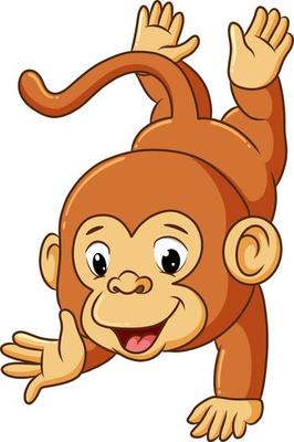 The cute monkey is standing with one hand