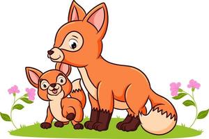 The two foxes are playing in the garden vector