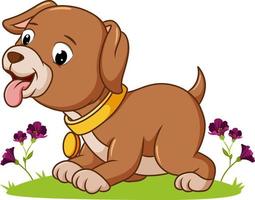 the cute dog playing in the garden vector