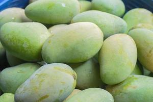 fondo de frutas tropicales de mango fresco foto