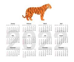 English calendar of 2022 year, calender with tiger. Vector Illustration