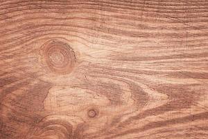 Wooden texture as a background. Material for the designer is a textured cut of wood. photo