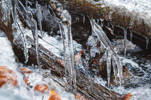 Icicles on a branch on a background of a mountain river photo