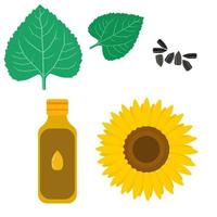 Conjunto de aceite de girasol, partes de la planta de girasol y semillas para el diseño. vector