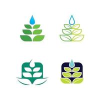 logotipos de hoja de árbol y naturaleza de la ecología de la hoja de árbol verde vector
