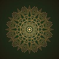 Mandala on dark background vector