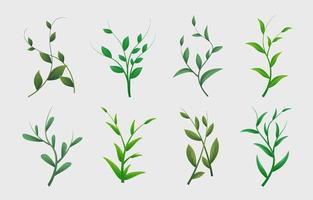 Set of Leaf Spring Element vector