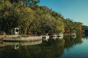 Nova Petropolis, Brazil - July 20, 2019. Pedal boats made of fiberglass in the shape of swan in a lake at Immigrant Village Park of Nova Petropolis. A rural town founded by German immigrants. photo