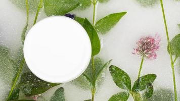 white jar of body care cream on ice with frozen flowers toning cosmetics beauty photo