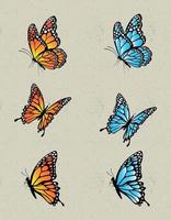 butterfly set for decoration vector