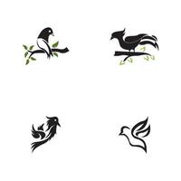 Bird icon and symbol vector illustration