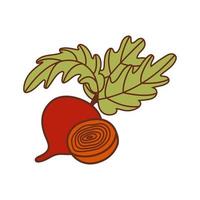 Isolated flat vector illustration beet and slice