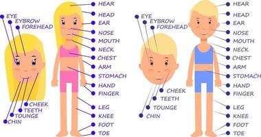 Cartoon little boy and girl. Vocabulary of human body parts for learning english words spelling. vector