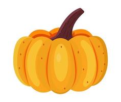 Pumpkin vector isolated on white background. Fresh, health food icon are shown.