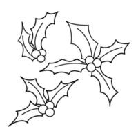holly doodle bocetos conjunto de navidad. Ilustración de flores de invierno. vector
