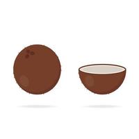 Coconut icon in cartoon style. Tropical fruit. Whole, half part of coconut. Vector