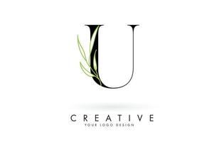 Elegant U letter logo design with long leaves branch vector illustration.