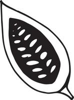 media mano de cacao en grano dibujado doodle. elemento único para icono de diseño, etiqueta, menú, pegatina. planta alimenticia vector