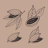 cocoa beans with leaves hand drawn set doodle. collection for design icon, poster, label, menu, card, sticker. food, plant. brown, craft paper background vintage vector