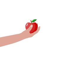 hand takes or gives an apple illustration. Vector