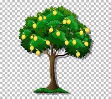 Lemon tree on grid background vector