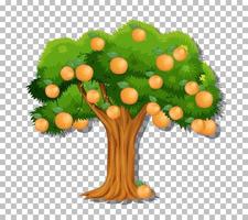 Orange tree on grid background vector