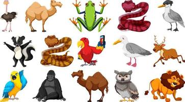 Set of different wild animals cartoon characters vector