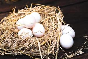huevos de pato en nido de paja seca, dos huevos blancos sobre piso de madera al lado de su nido. espacio vacio.