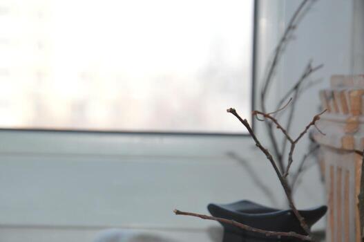 Branches of dry tree on the background of the window photo
